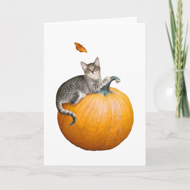Katt med Pumpkin- och Butterfly Card Kort (Framsida)