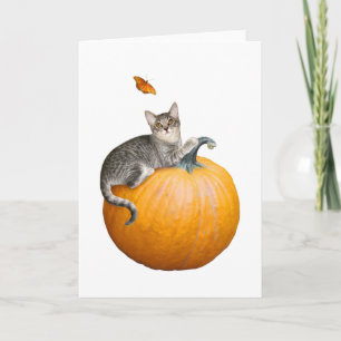 Katt med Pumpkin- och Butterfly Card Kort