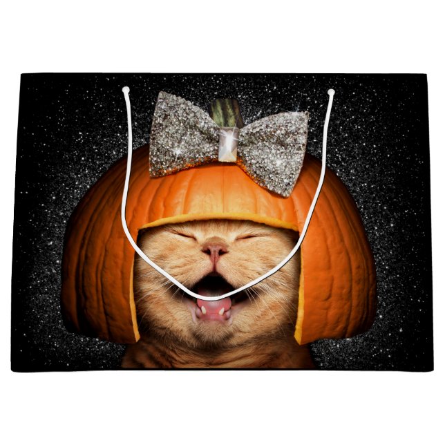 Katt med pumpor (Framsidan)