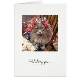 Katt med ribbon på födelsekort hälsningskort