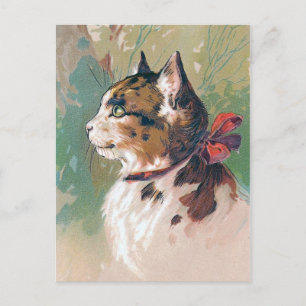 Katt med röd Vintage Vykort