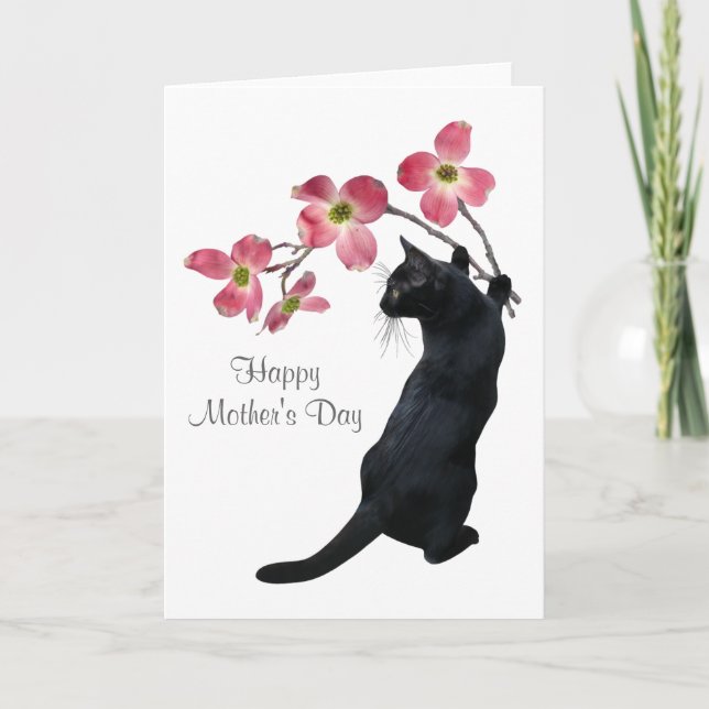 Katt med Rosa Dogwood Flowers Mors dag Card Kort (Framsida)