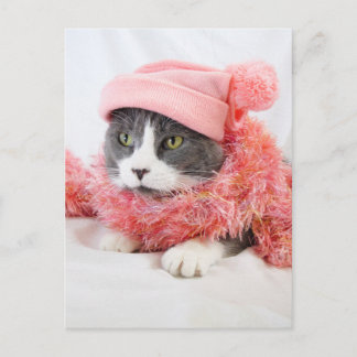 Katt med Rosa Hat-vykort Vykort
