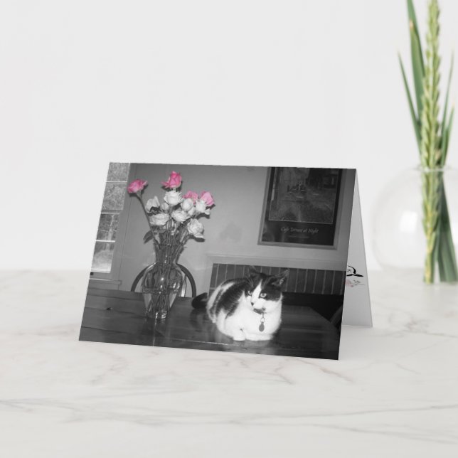 Katt med Rosa ros födelsedagskort Kort (Framsida)