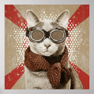 Katt med skyddsbrillor och scarf, retro flagga-por poster
