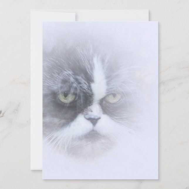 Katt med stort öga (Framsida)