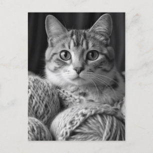 Katt med svartvitt av garn vykort