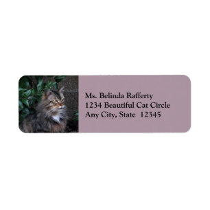 Katt med tacksamma Returetiketter Returadress Etikett