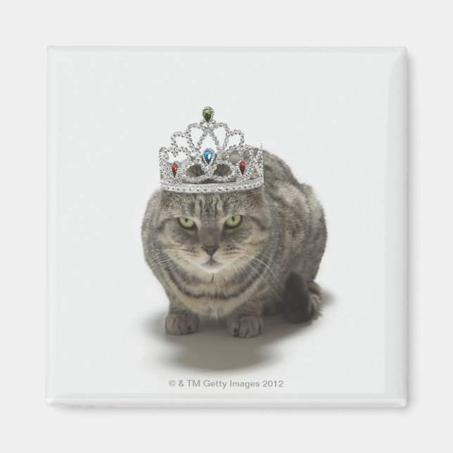 Katt med tiara magnet (Framsidan)