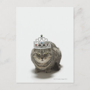 Katt med tiara vykort