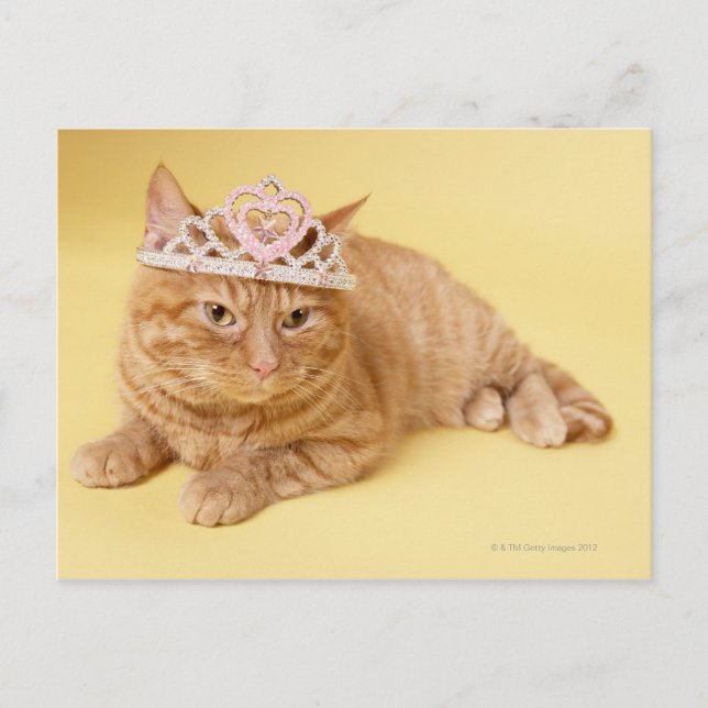 Katt med tiara vykort (Framsida)