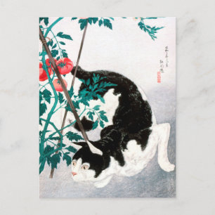 Katt med Tomato Plant (1931) av Hiroaki Takahashi Vykort