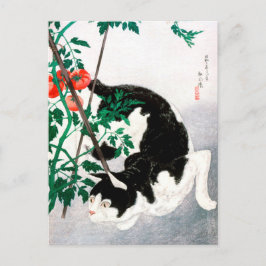 Katt med Tomato Plant - Hiroaki Takahashi - Cat Ar Vykort