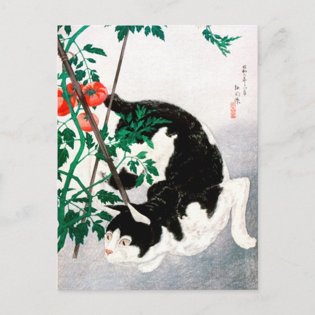 Katt med Tomato Plant - Hiroaki Takahashi - Cat Ar Vykort (Framsida)