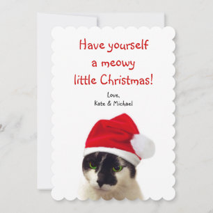 Katt med tomtens hatt julkort