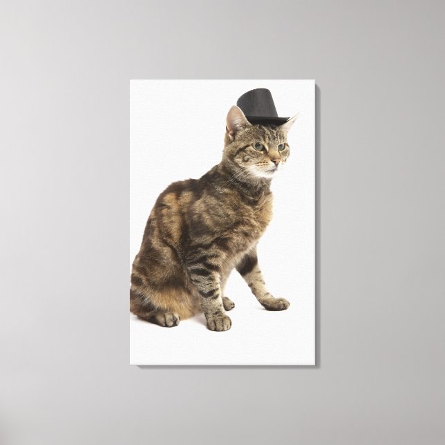 Katt med top hat canvastryck (Framsida)
