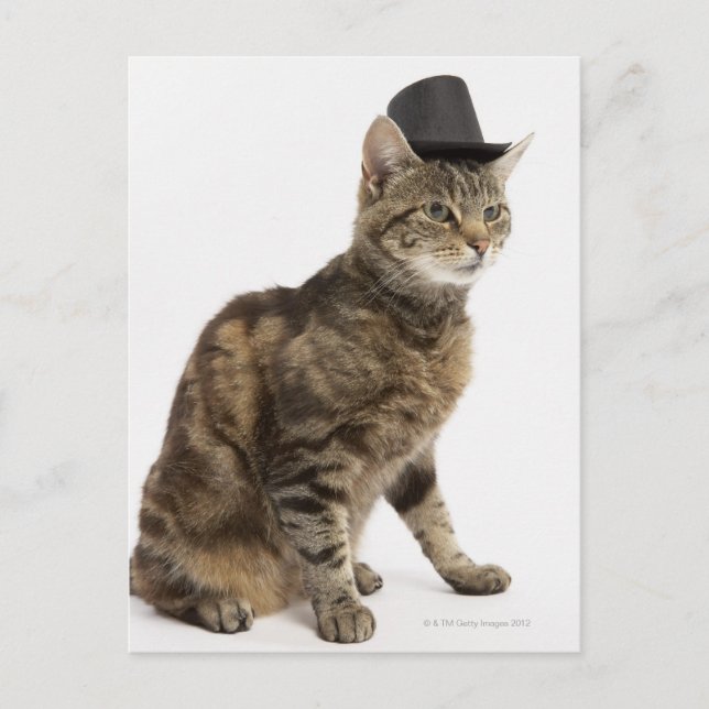 Katt med top hat vykort (Framsida)