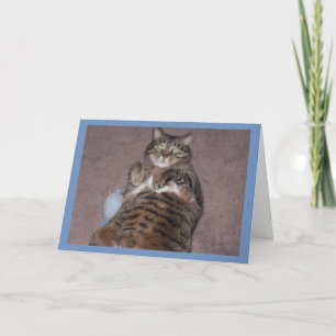 Katt med tuggfödelsedagskort kort