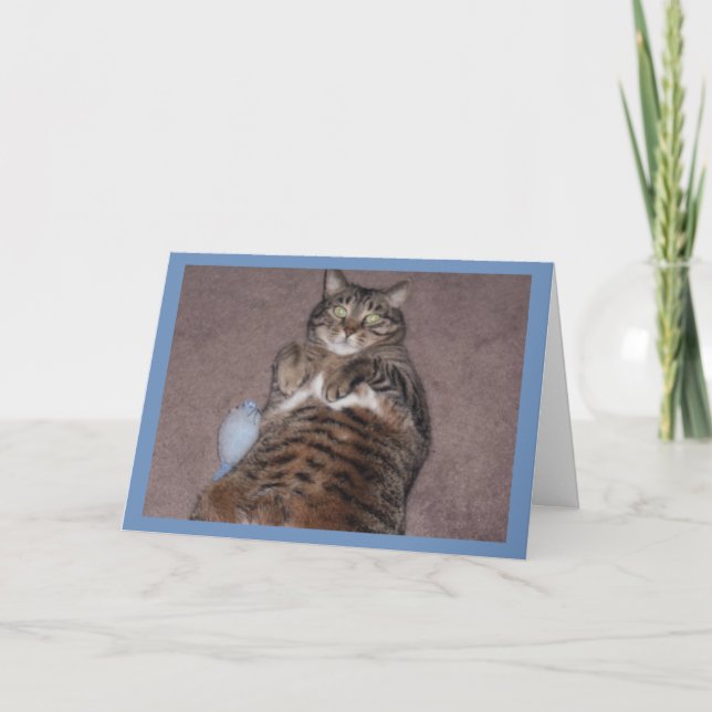 Katt med tuggfödelsedagskort kort (Framsida)