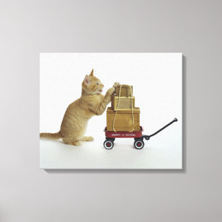 Katt med vagn och lådor canvastryck