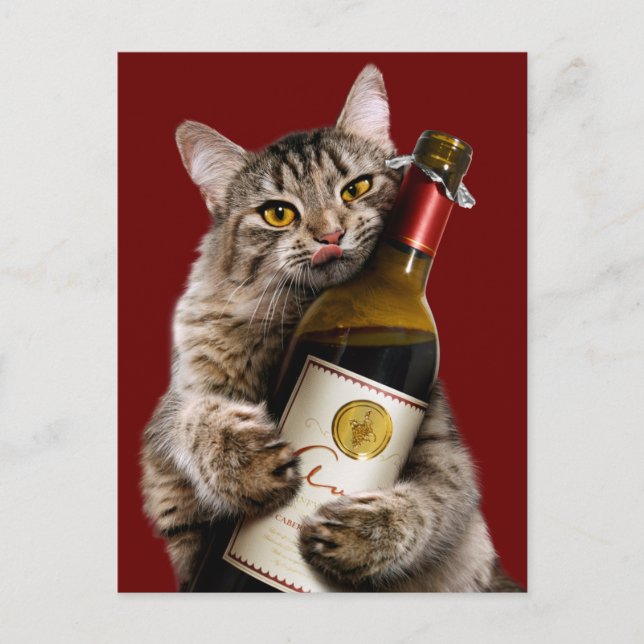 Katt med Vin Flaska Inbjudan Vykort (Framsida)