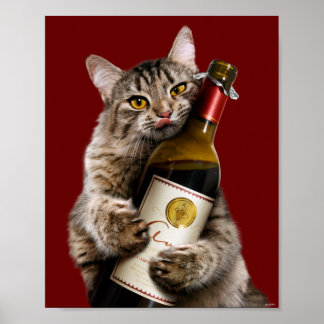 Katt med Vin Flaska Poster