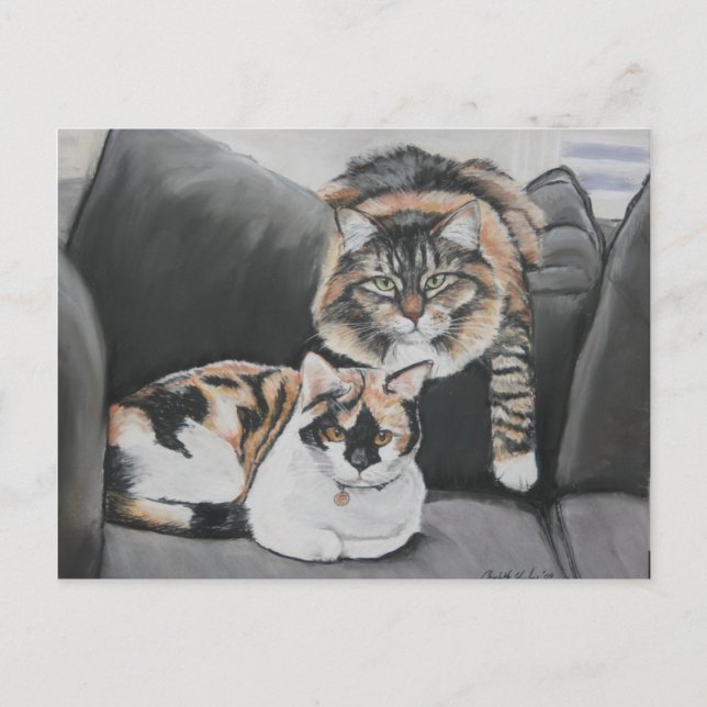 Katt med vykort (Framsida)