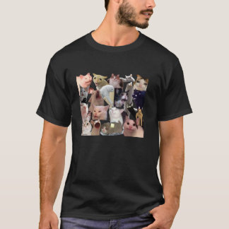 Katt Meme Alla Dumma Katter T Shirt