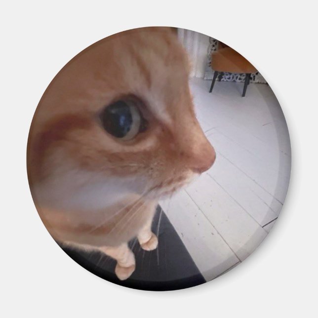 Katt meme med sidoblick magnet (Framsidan)
