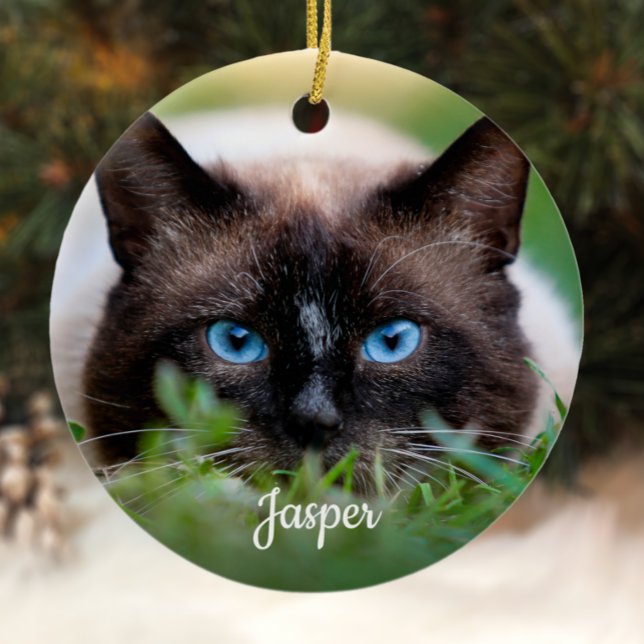 Katt Minnes Regnbågsbro Sympati Foto Julgransprydnad Keramik (Skapare uppladdad)
