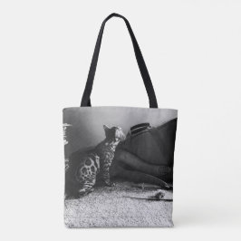 Katt möter gitarr tygkasse