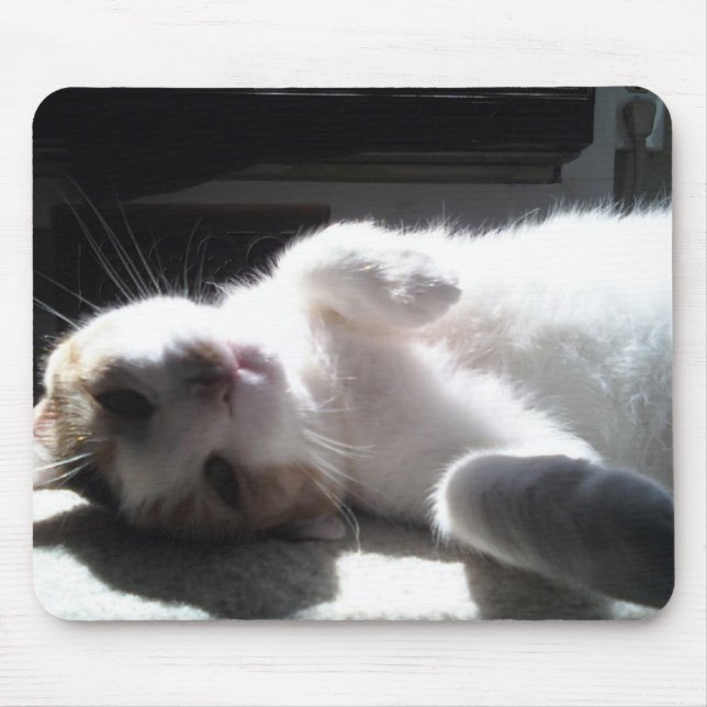 Katt Mouse Pad! Musmatta (Framsidan)