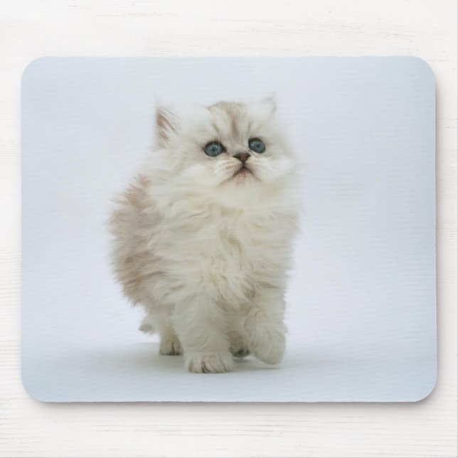 Katt Mousepad Musmatta (Framsidan)