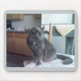 Katt Mousepad Musmatta