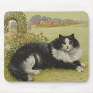 Katt Mousepad Musmatta