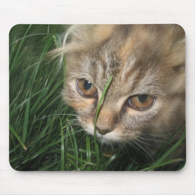 Katt Mousepad Musmatta (Framsidan)