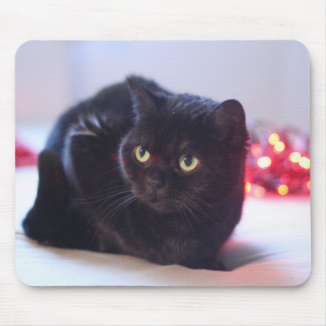 Katt Mousepad Musmatta (Framsidan)