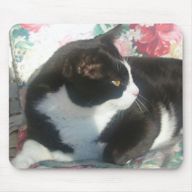 Katt Mousepad Musmatta (Framsidan)