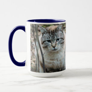 Katt Mugg