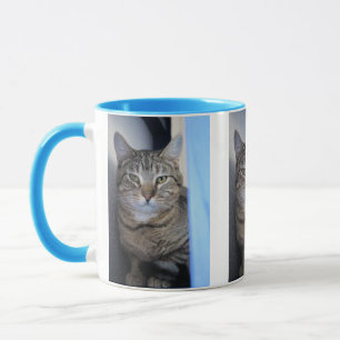 Katt Mugg