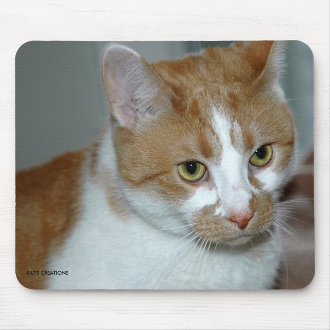 KATT MUSMATTA (Framsidan)