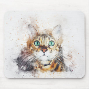 Katt Musmatta