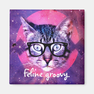 Katt Mysig Katt Magnet