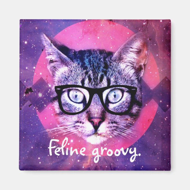 Katt Mysig Katt Magnet (Framsidan)