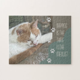 Katt Napping är sak I kärlek mowst Pussel