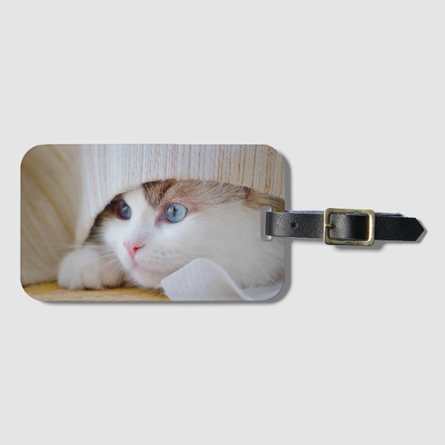 Katt, natur, kattunge bagagebricka (Framsida horisontal)