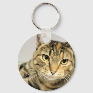 Katt Nyckelring