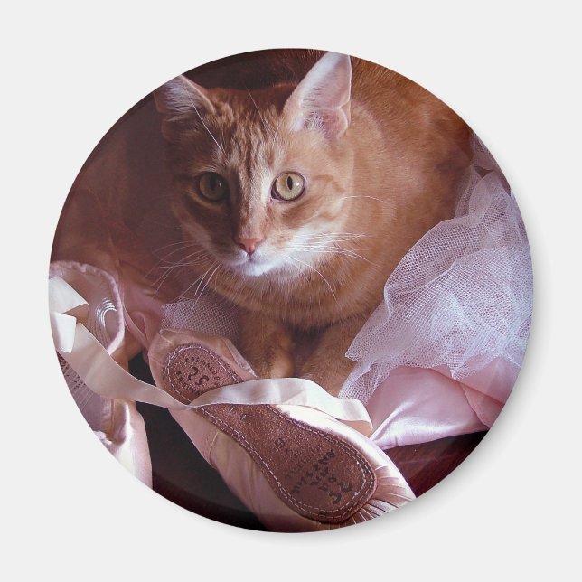 Katt och Ballet Tofflor Magnet (Framsidan)