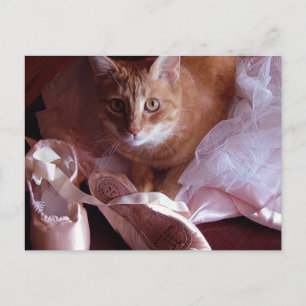 Katt och Ballet Tofflor Vykort