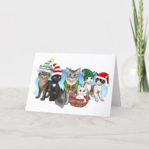 Katt- och besättningsfiskekort 5 x 7 tum helgkort